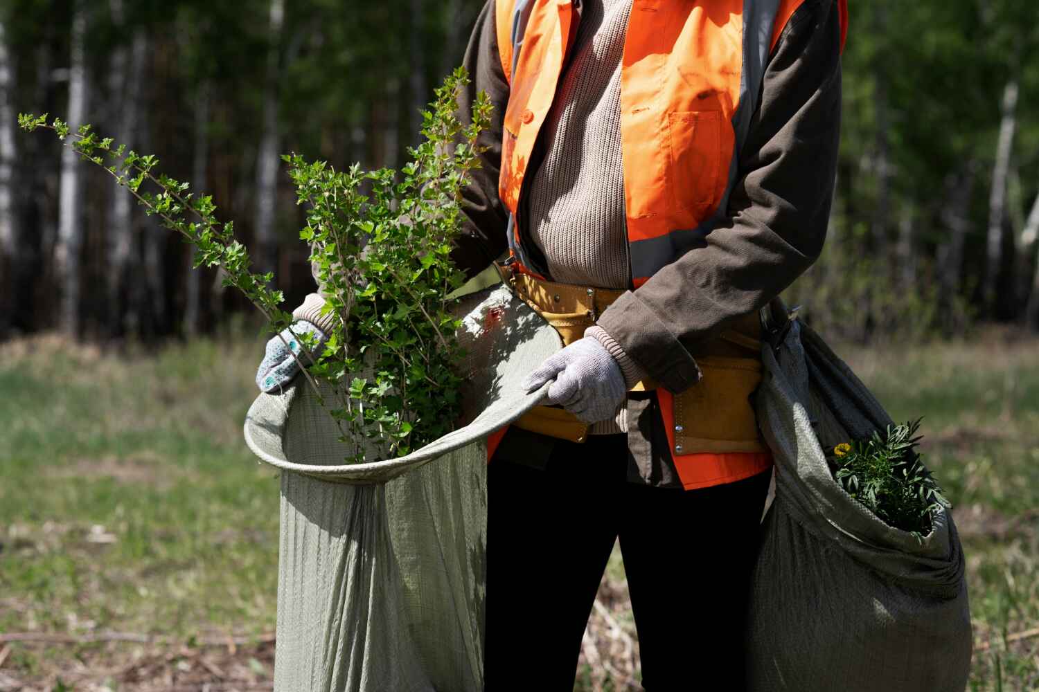 Best Tree Cutting Near Me  in Savannah, GA